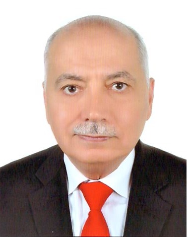 البروفيسور: فيصل الحفيان