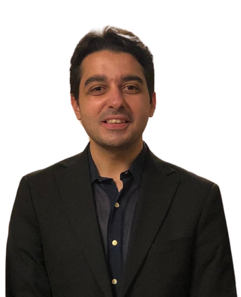 محمد محب عبدالحميد